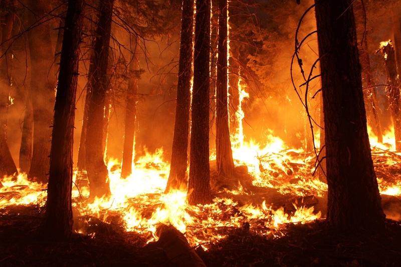 forest-wood-night-smoke-orange-flame-834878-pxhere.com_