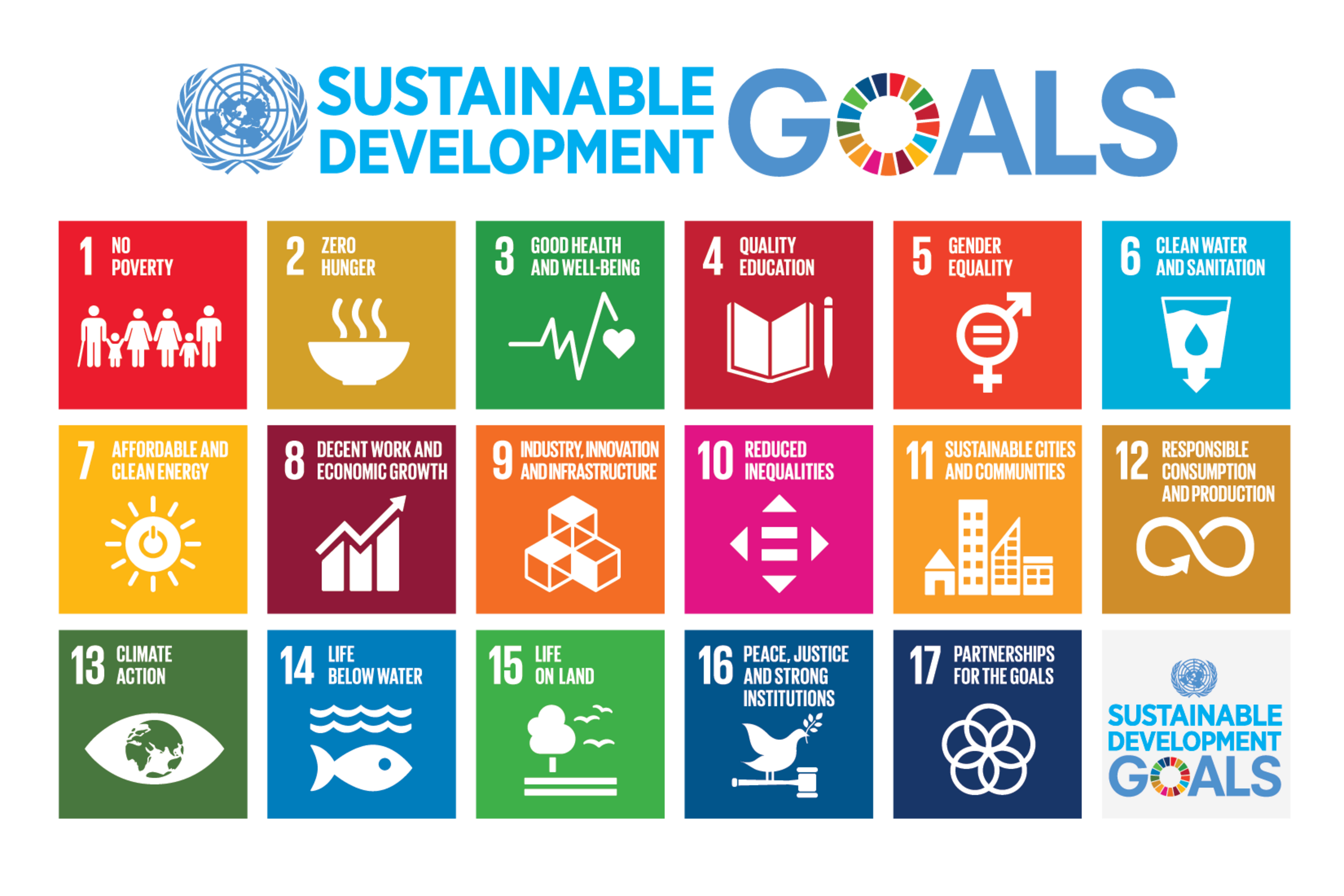 E_2018_SDG_Poster_with_UN_emblem