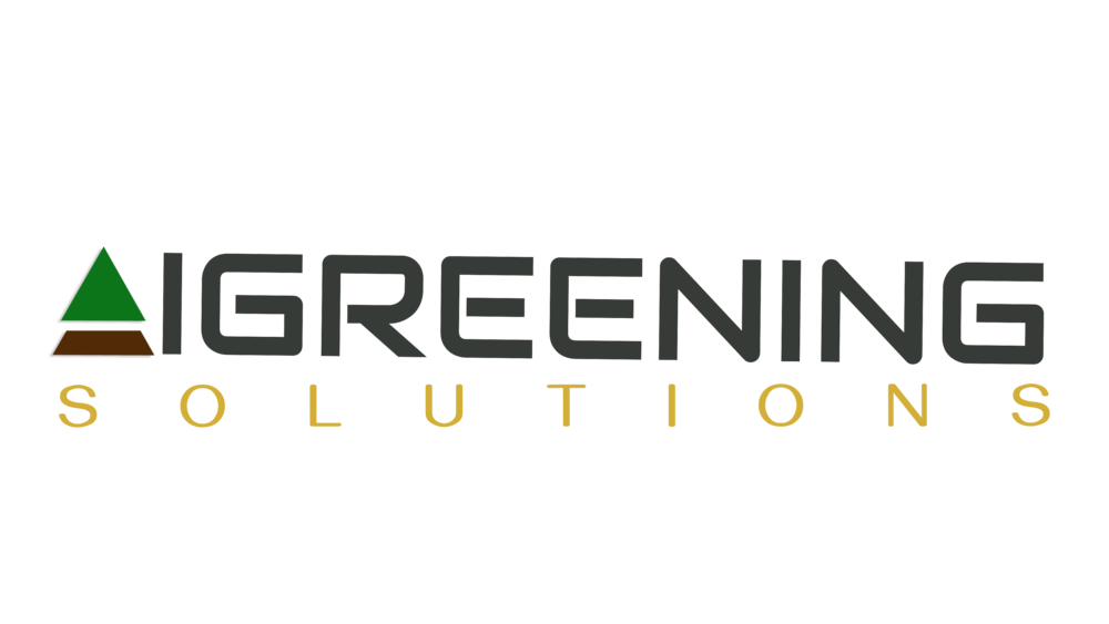 Solutions d'écologisation de l'IA