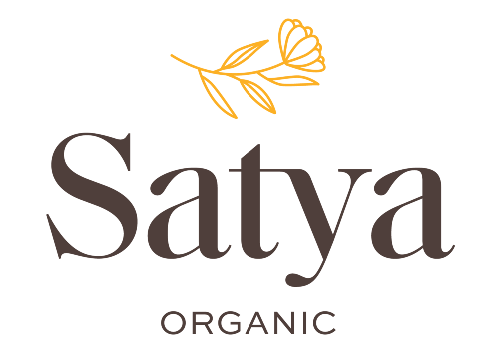 SAT_Logo_Full-01_2d99d677-f6da-4111-851a-4bd546bff40f