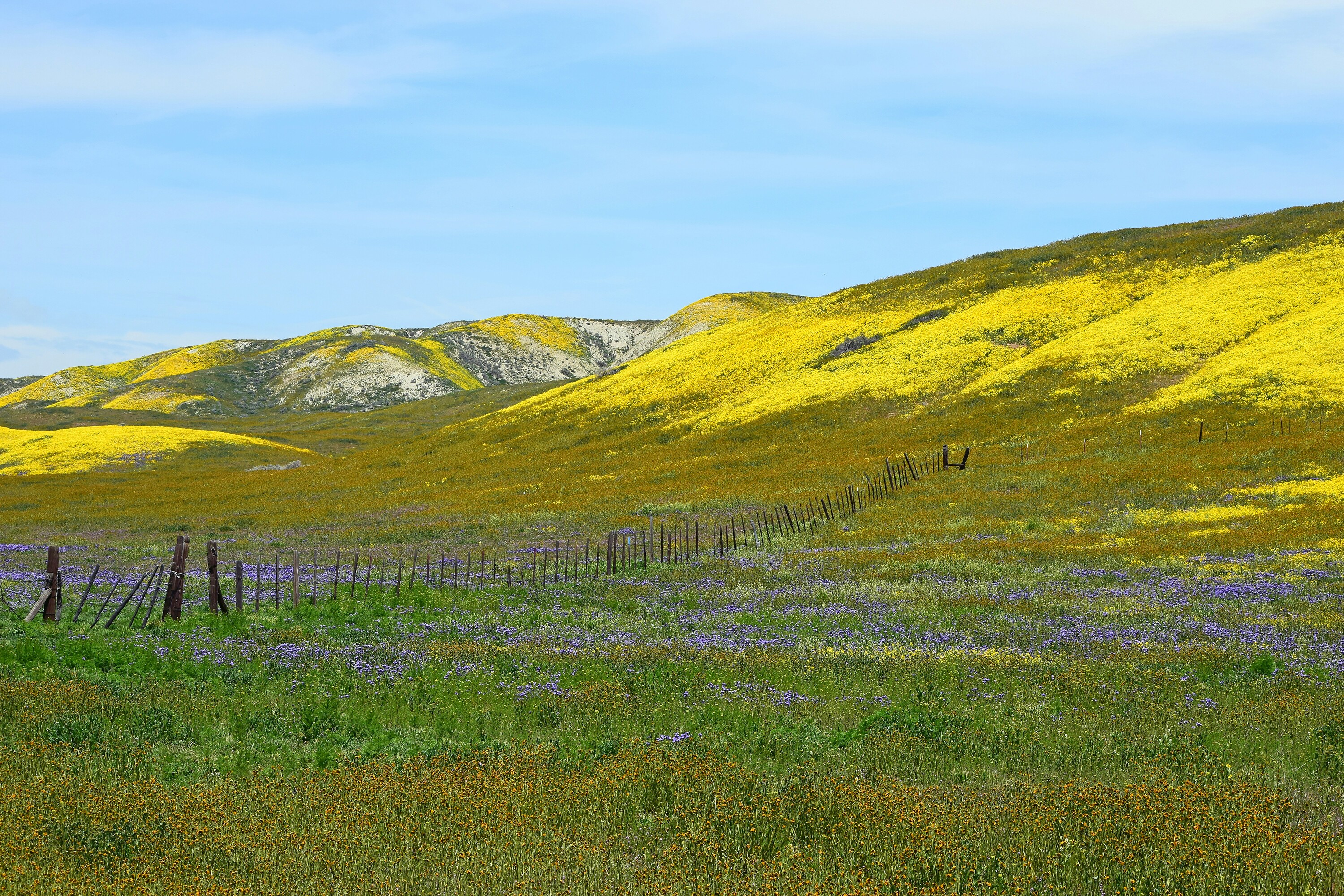 pamela-heckel-TldhSBo8Q0c-unsplash