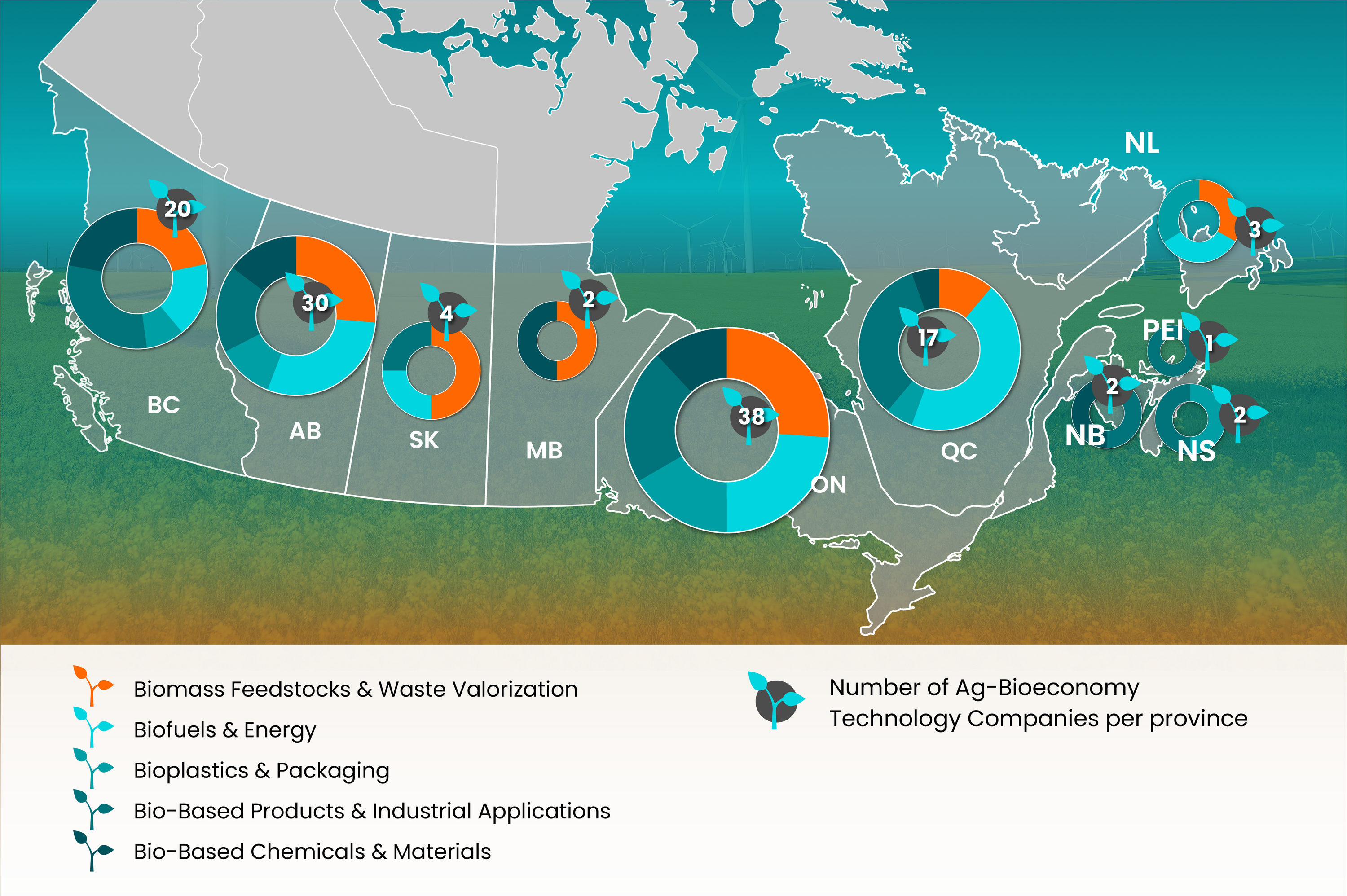 Provincial Value Chain Map