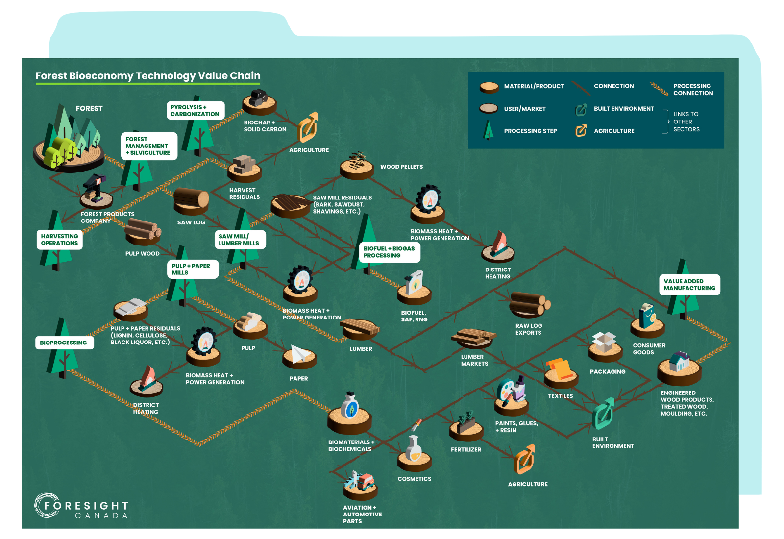 Forest Bioeconomy Value Chain