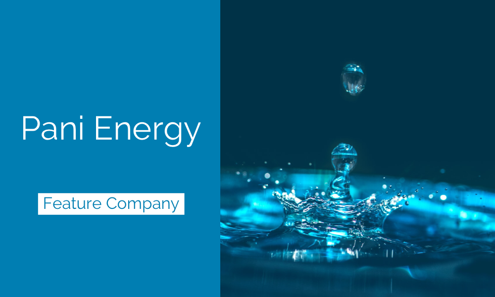 Pani Energy : Une entreprise à l'avant-garde du changement