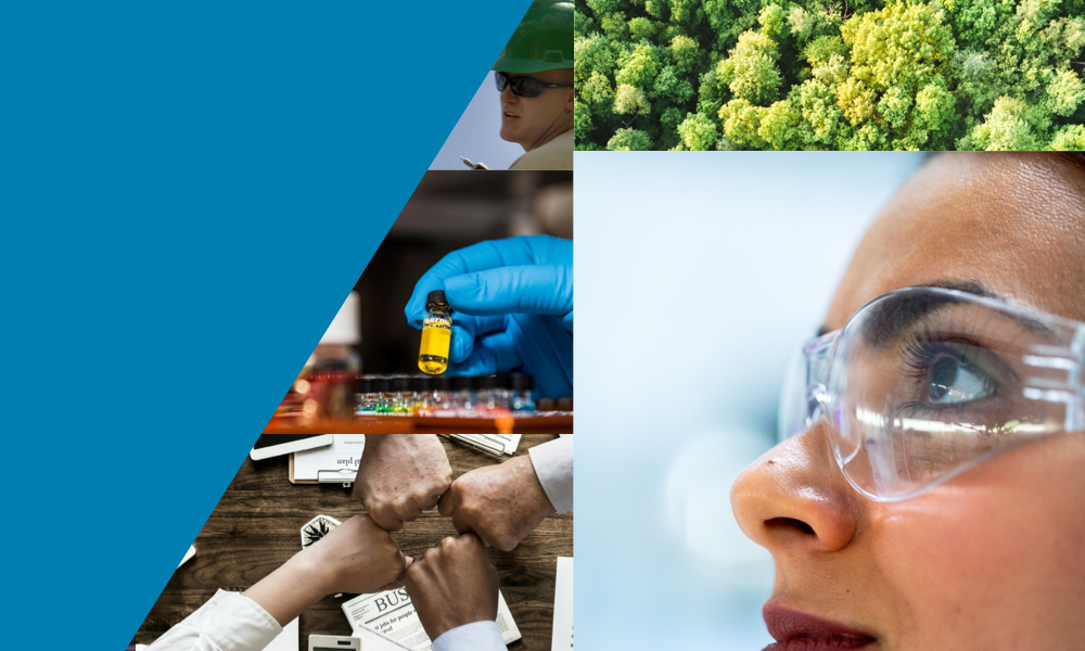 Foresight annonce un soutien accru aux PME du secteur des technologies propres qui relèvent les défis du COVID-19