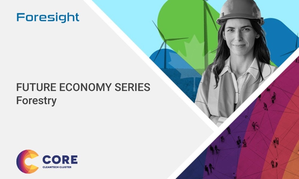 Future Economy Series: Forestry Webinar Recap