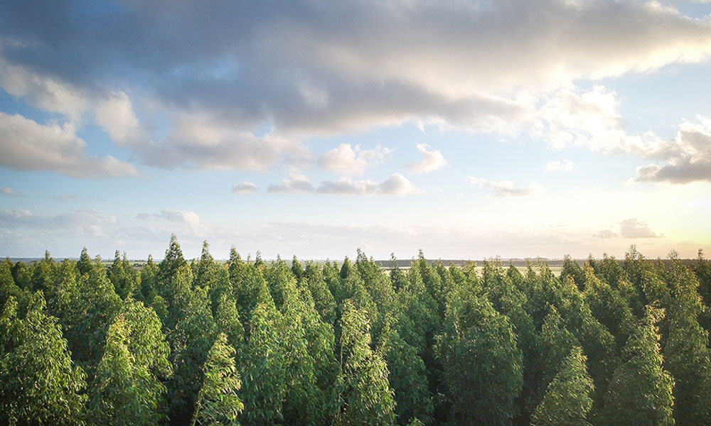 Foresight annonce les lauréats du concours COSIA Land Challenge