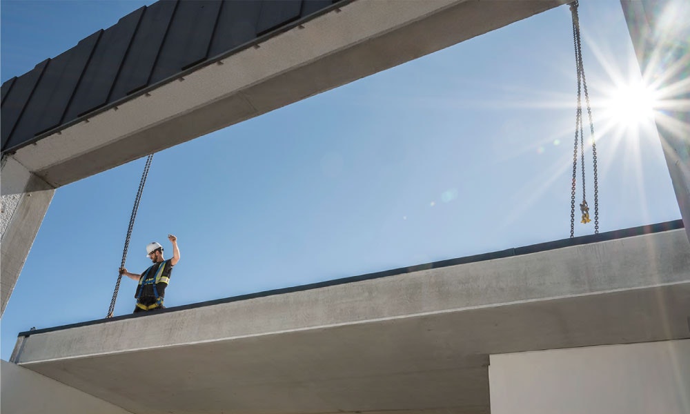 Build Back Better, Build Back Green