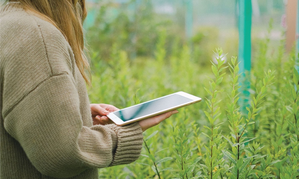 Au-delà des platitudes de la Journée de la Terre : 7 façons pour les entreprises de restaurer notre planète
