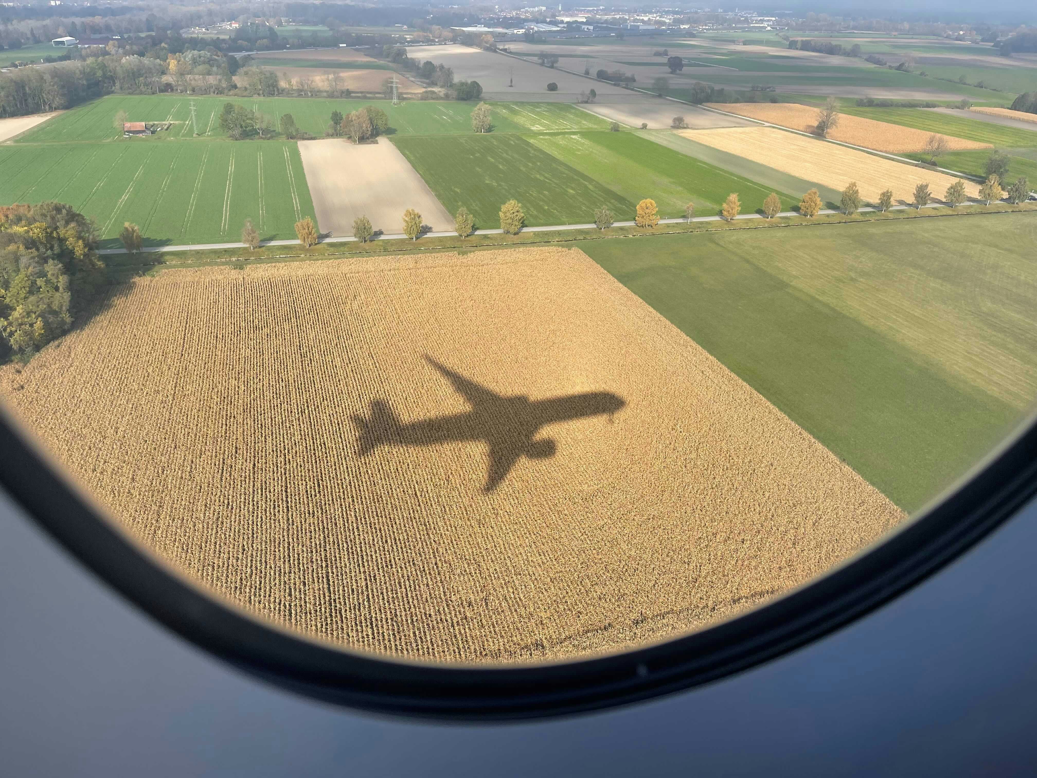 Réflexions sur la COP26 : engagement, collaboration et tasses de café