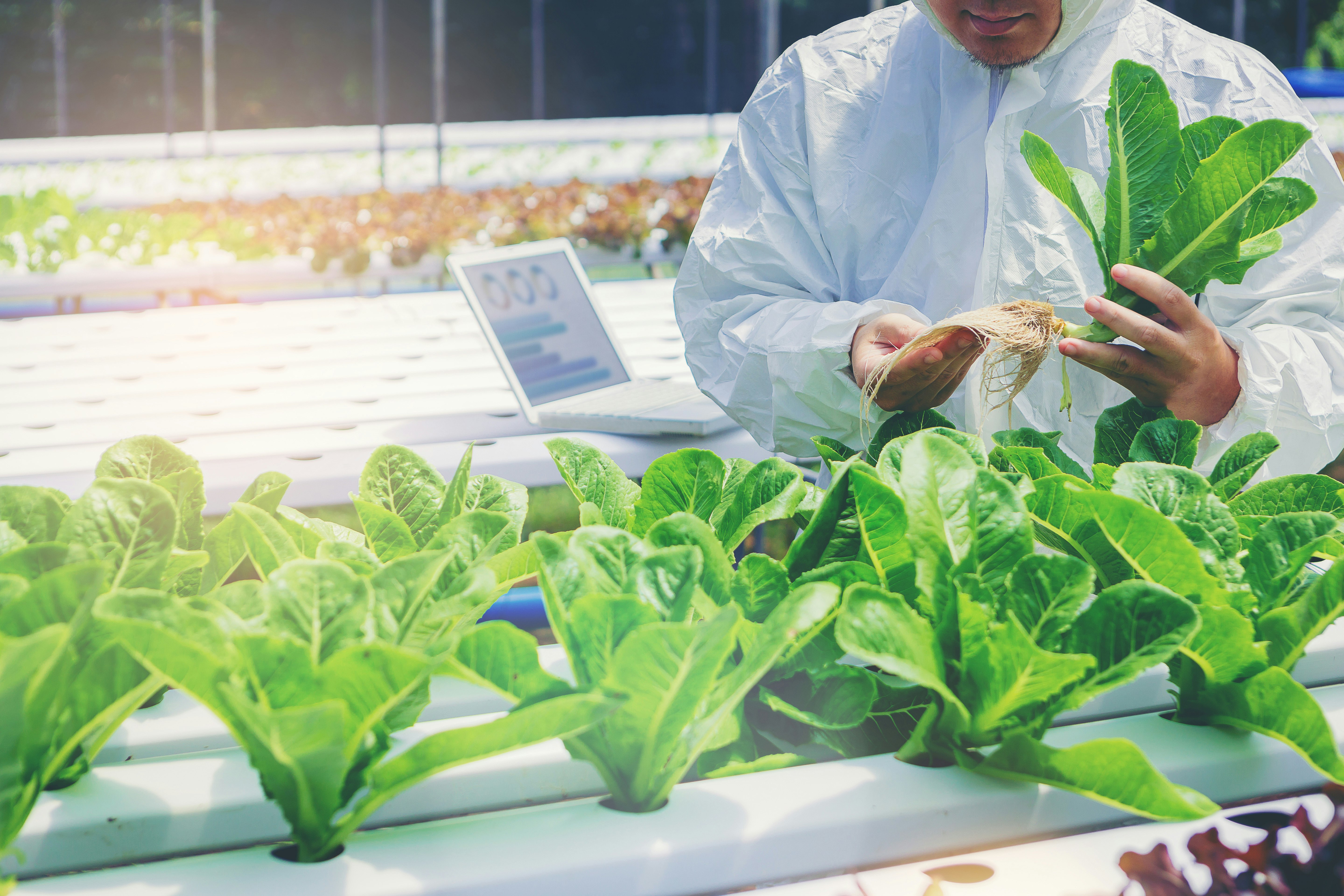 17 entreprises canadiennes d'agrotechnologie à surveiller