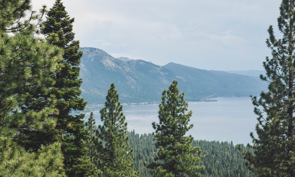 A Bold Future for the Circular Bioeconomy: Panel Recap