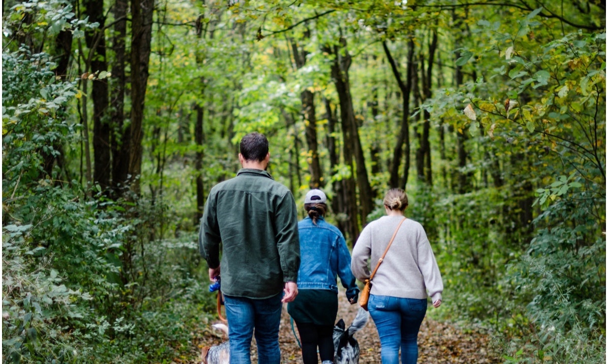 Top 4 Reasons Foresight Support The New Clean BC Action Plan