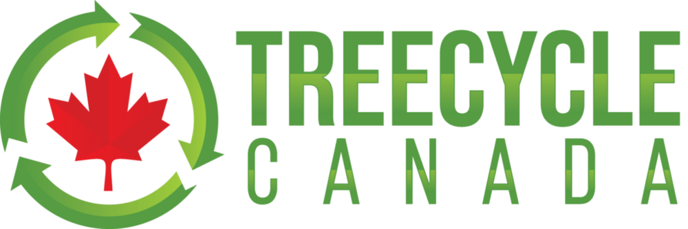 tree-cycle-header-1024x341