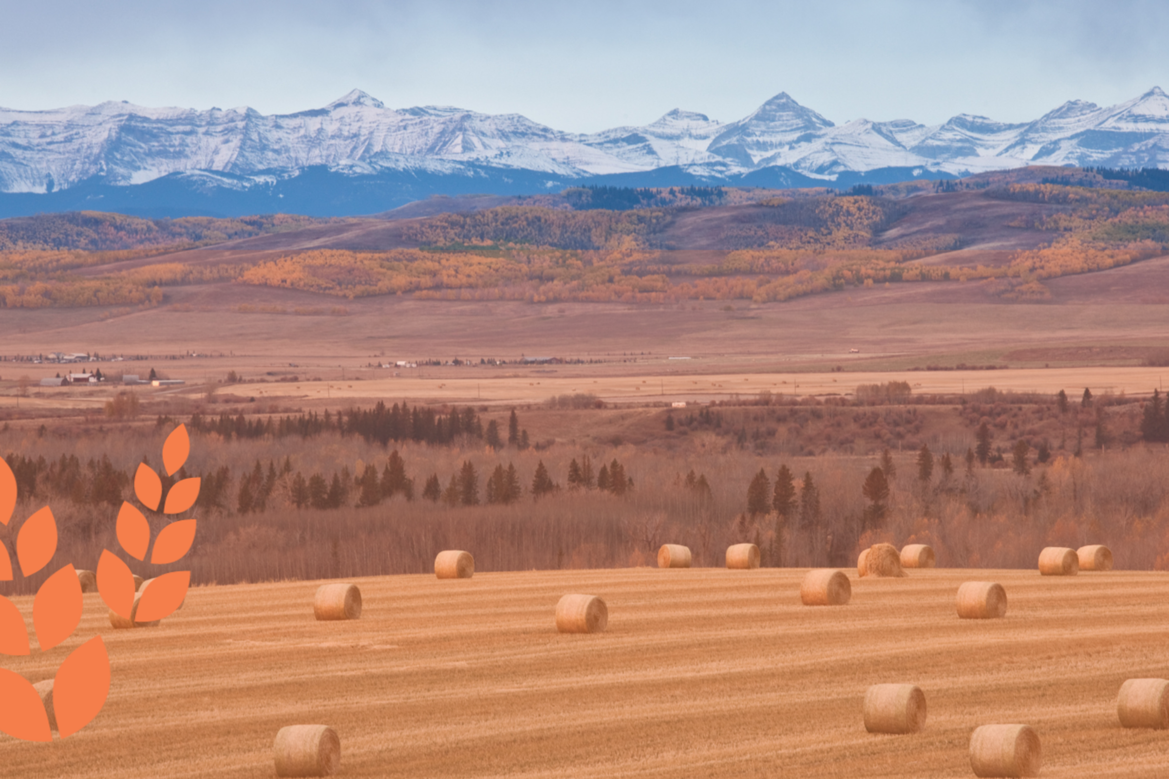 Alberta Agtech Offsets Report with Biological Carbon Canada