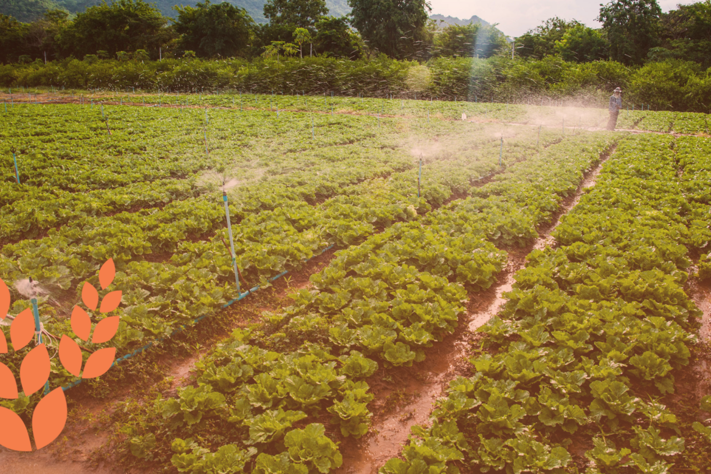 Smart Policy Series 2019: Agrifood