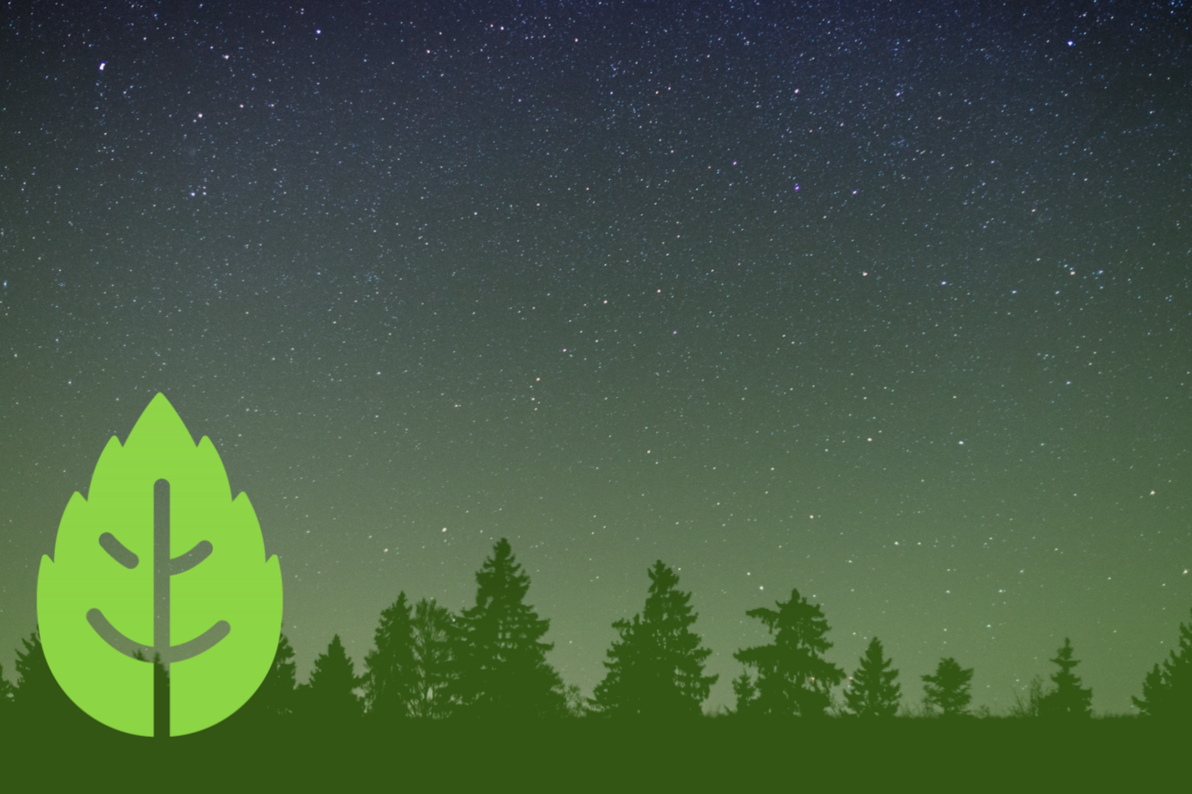 Closing the Loop on Circular Bioeconomy Innovation