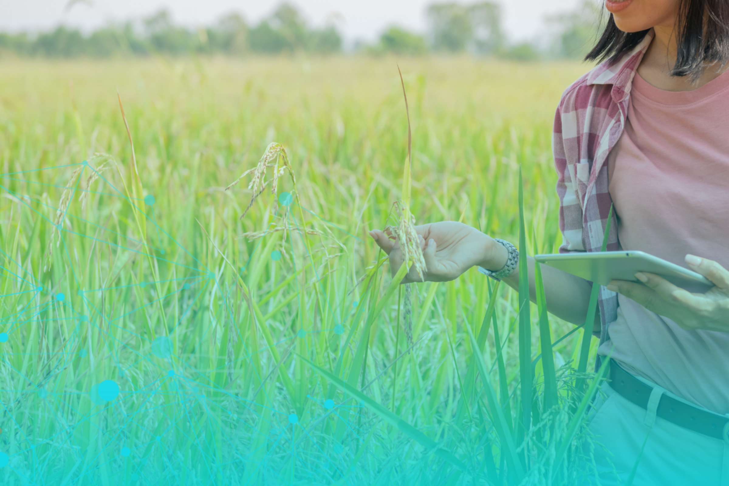 Scaling Cleantech in Canada 2021