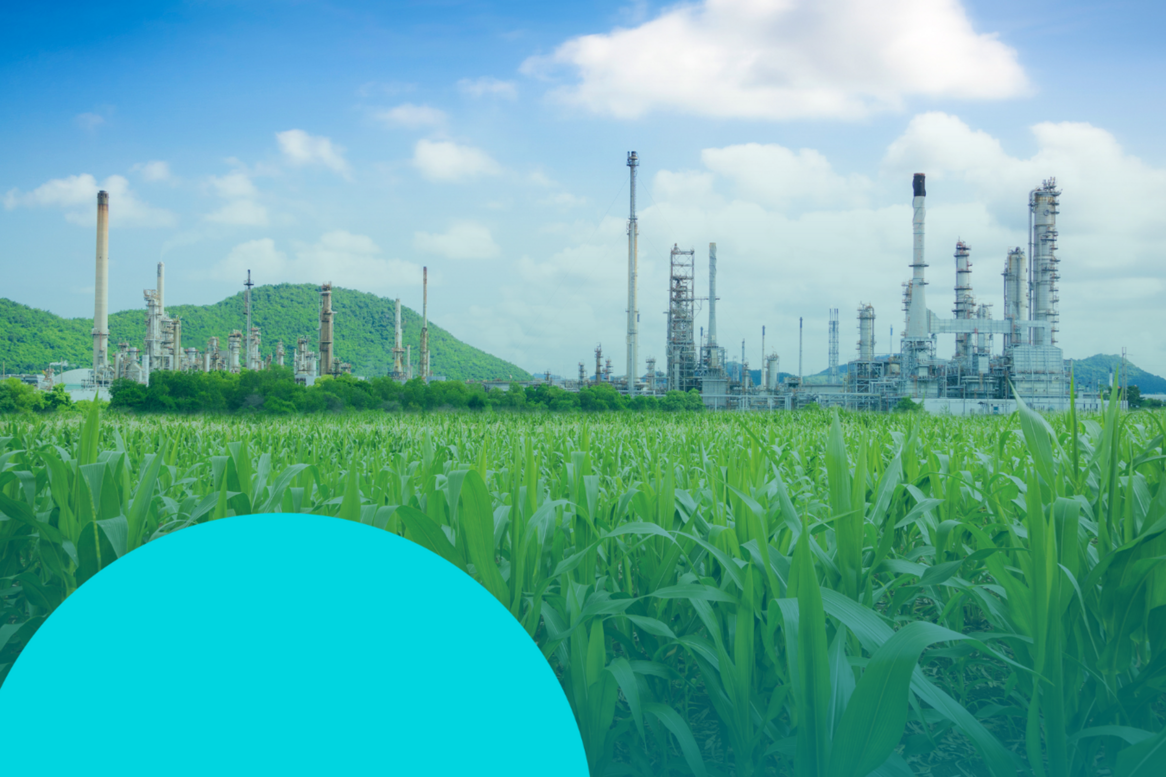 Challenge Case Study: Arctic Natural Gas