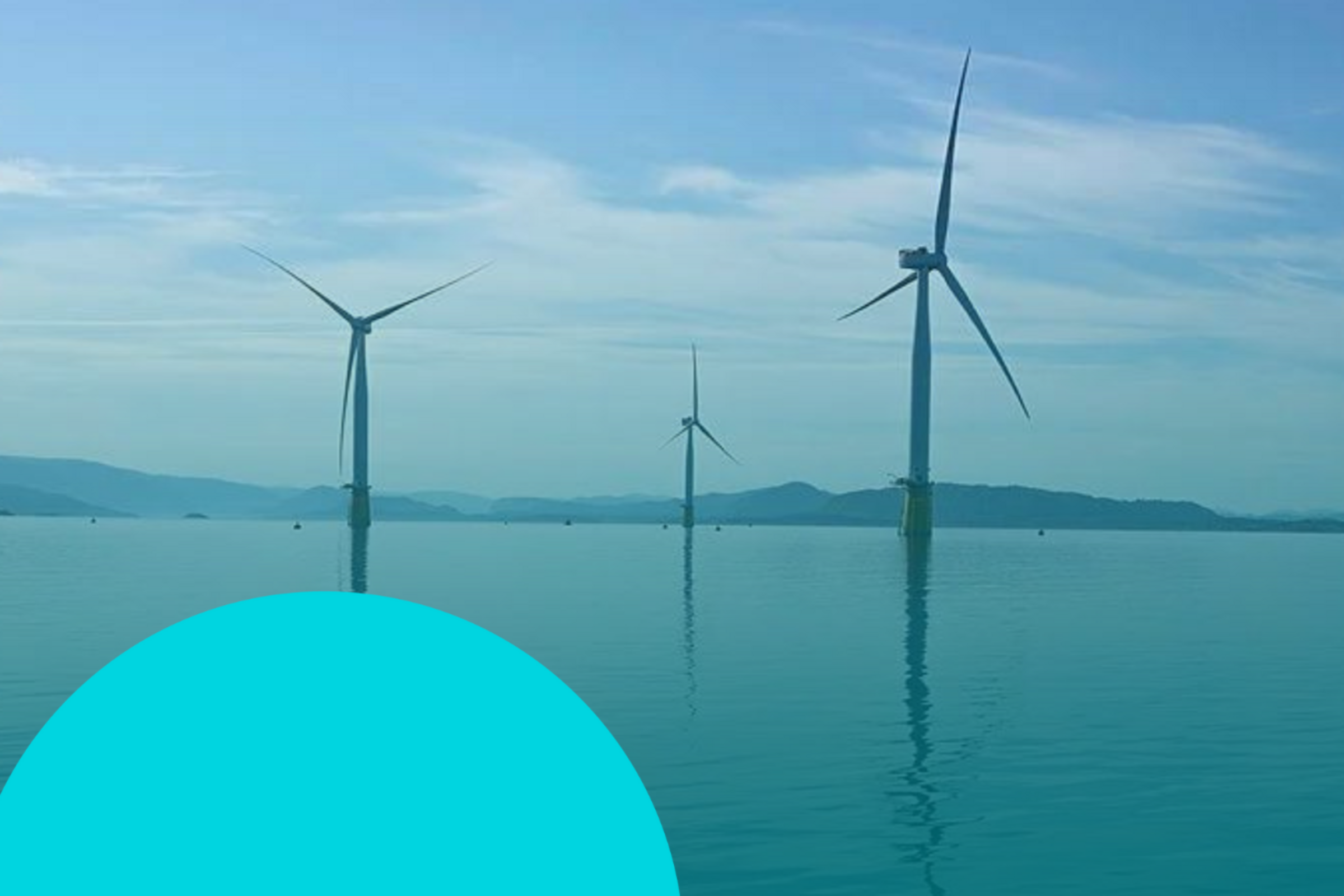 Challenge Case Study: OMV