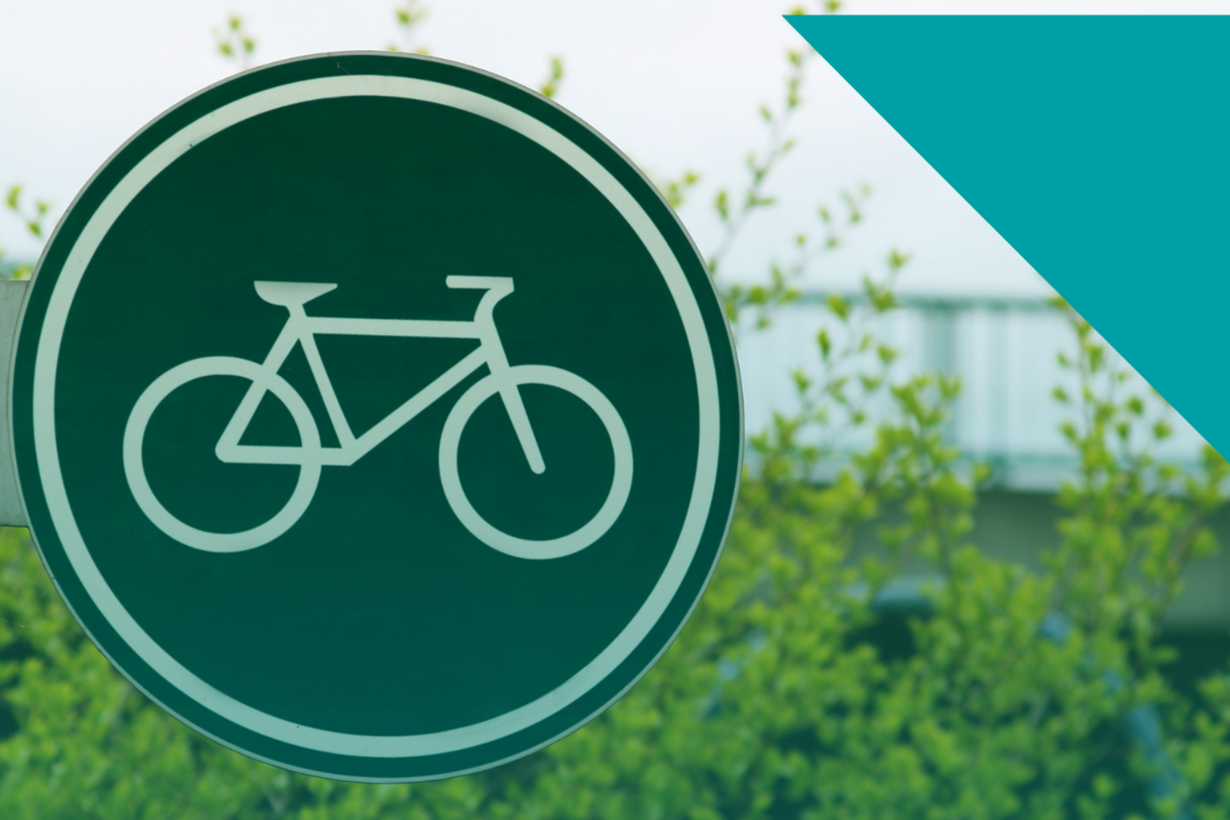 Road to 2050: Transportation