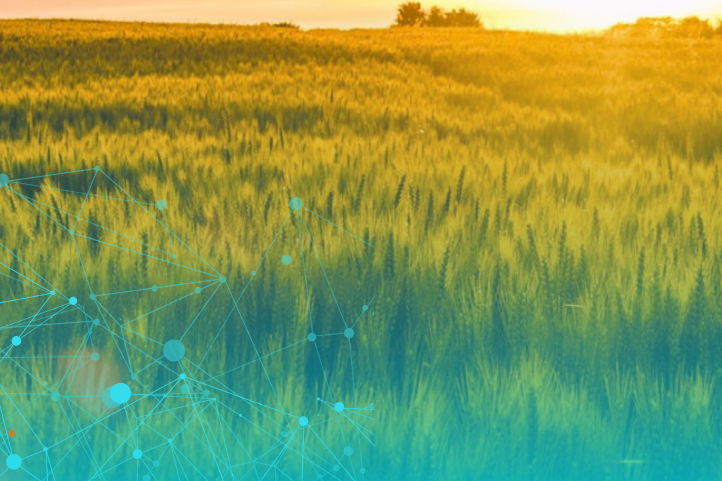 Accelerating British Columbia’s Clean Economy