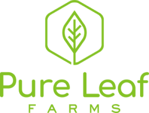 Pure-Leaf300x227