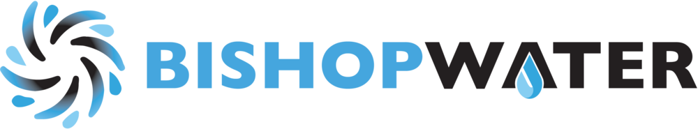 BWT-Logo-Large-transparent-bkgrd