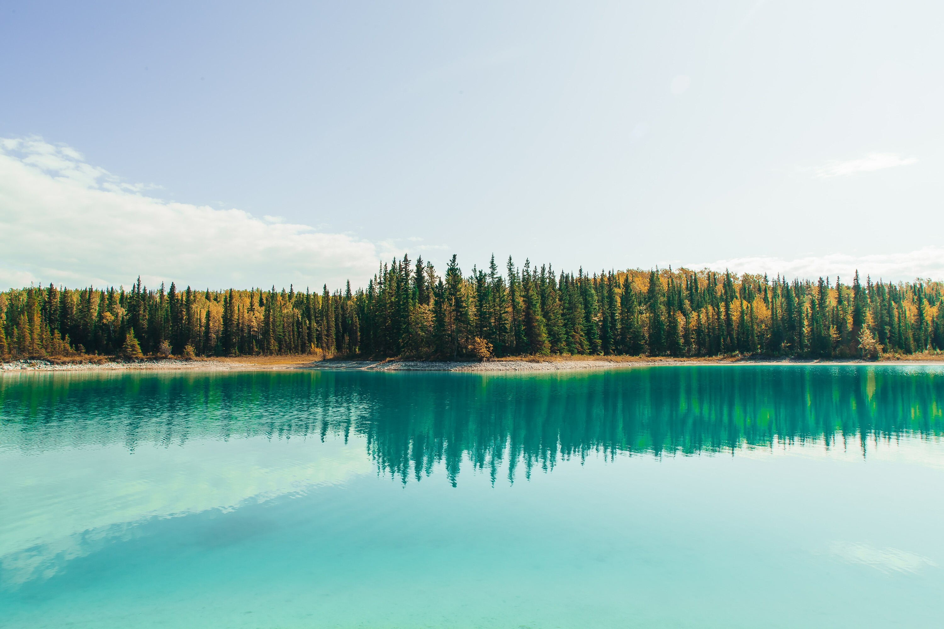 Join a BCNZIN Working Group - Cleantech Collaboration