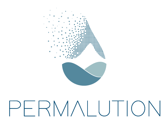 Logo_PERMALUTION_no_slogan-02__1_