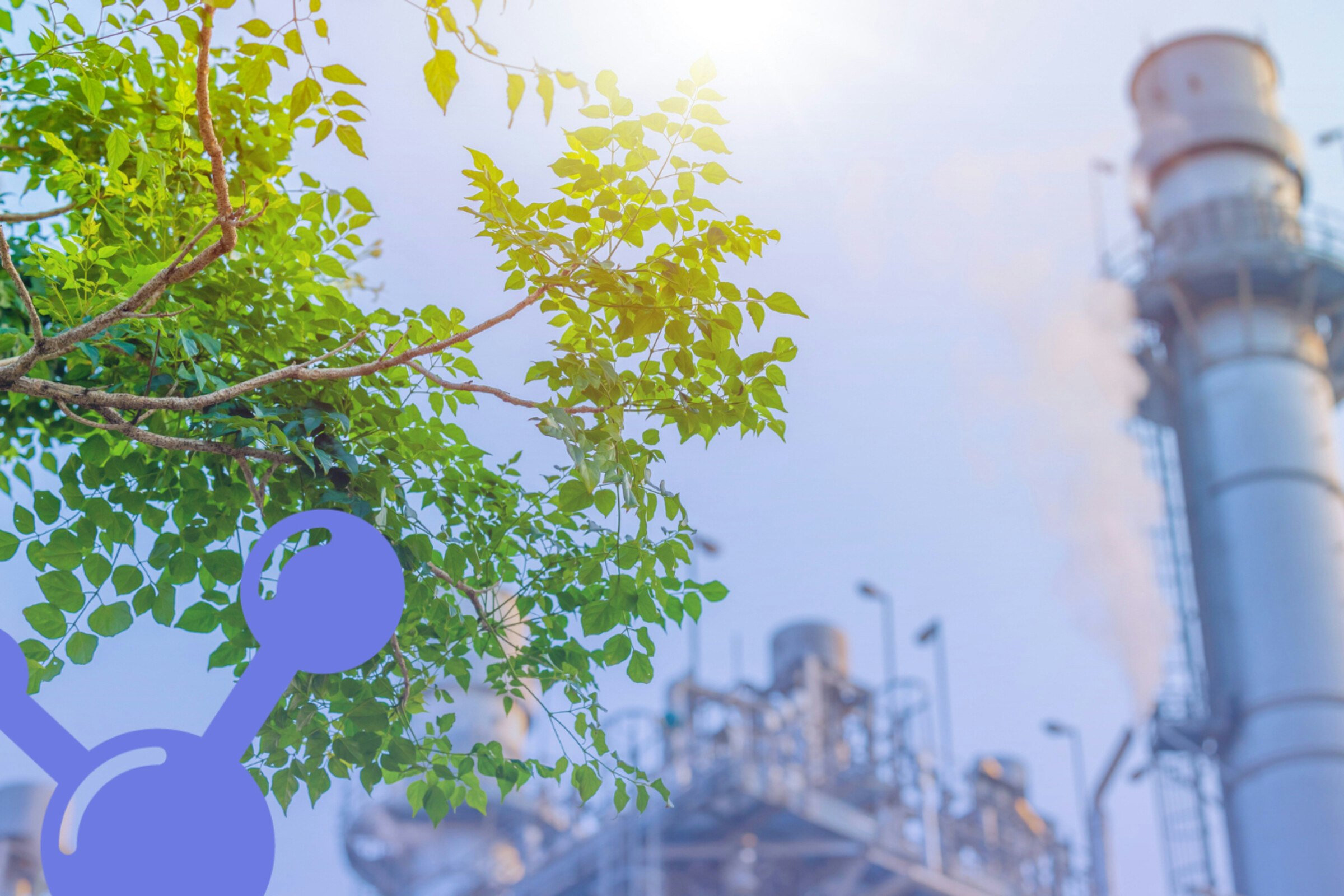 Year One: CarbonNEXT Report