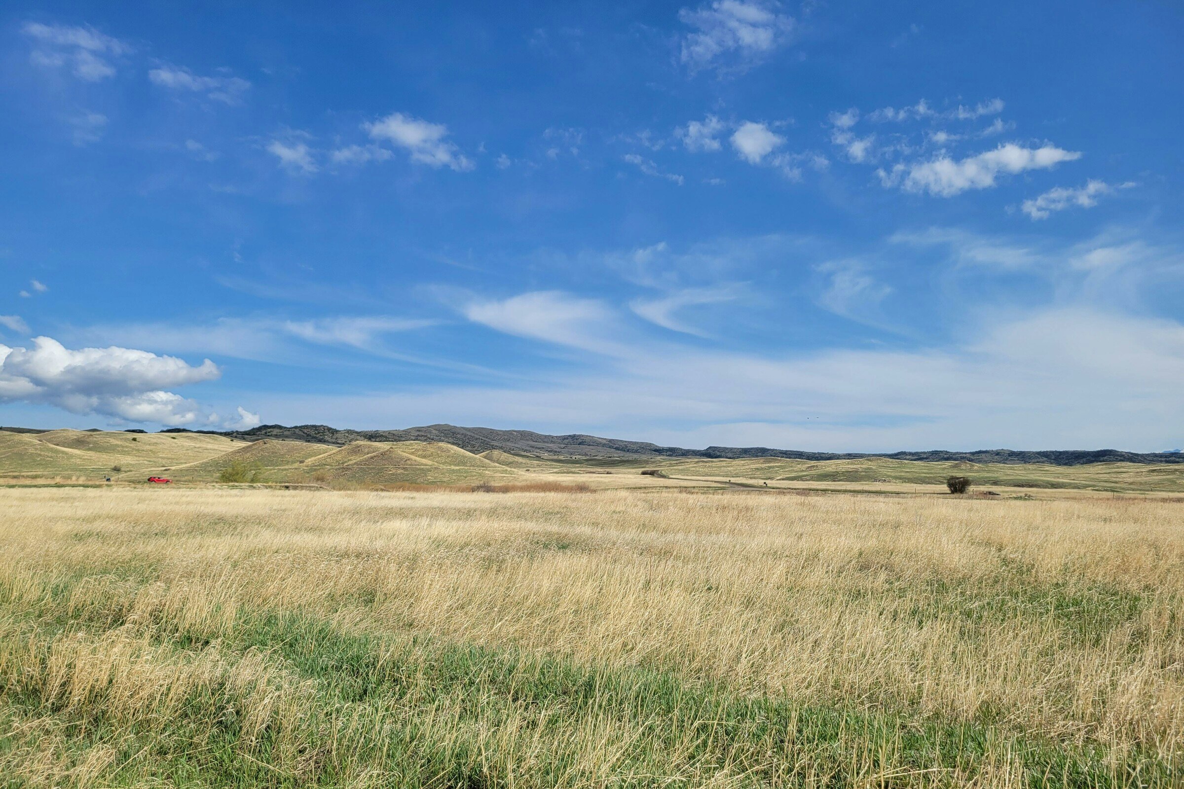 Building a Green Prairie Economy | Reflections from the PrairiesCan Engagement Sessions