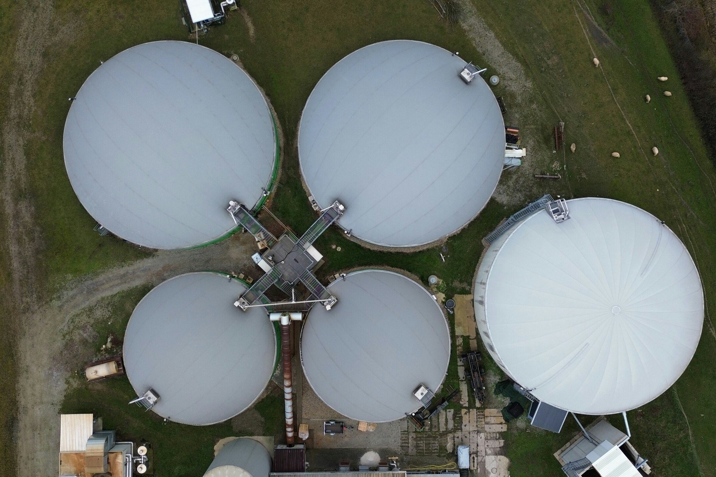 Foresight Insights, Biomethane: Where it Fits in Canada’s Decarbonization Toolkit