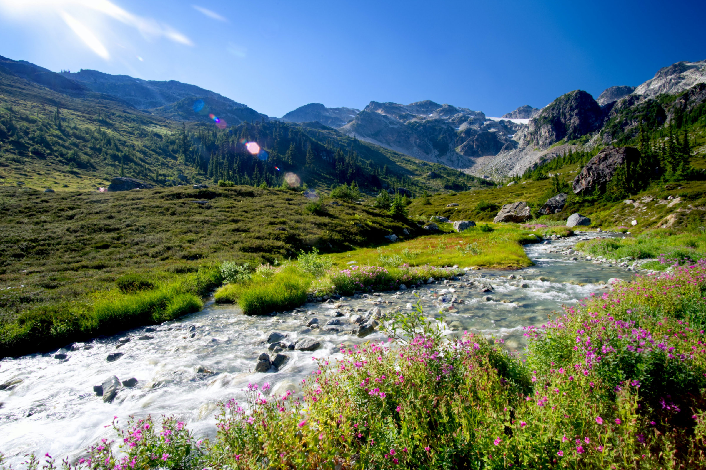 Earth Tech 2050: Announcing Our First Cohort of Top Climate Tech Startups