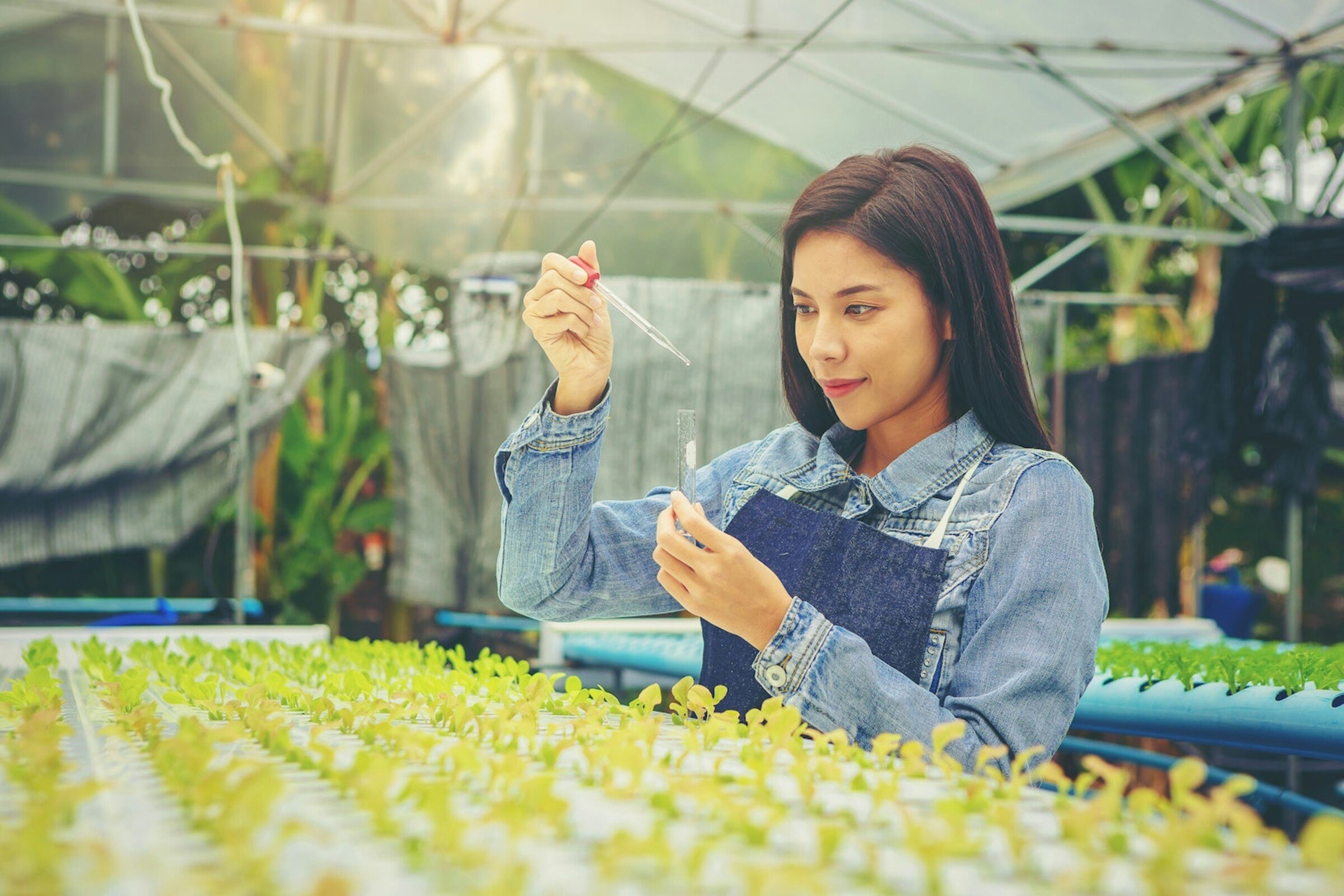 Introducing the 2023 Foresight 50 - Canada's 50 Most Investible Cleantech Ventures