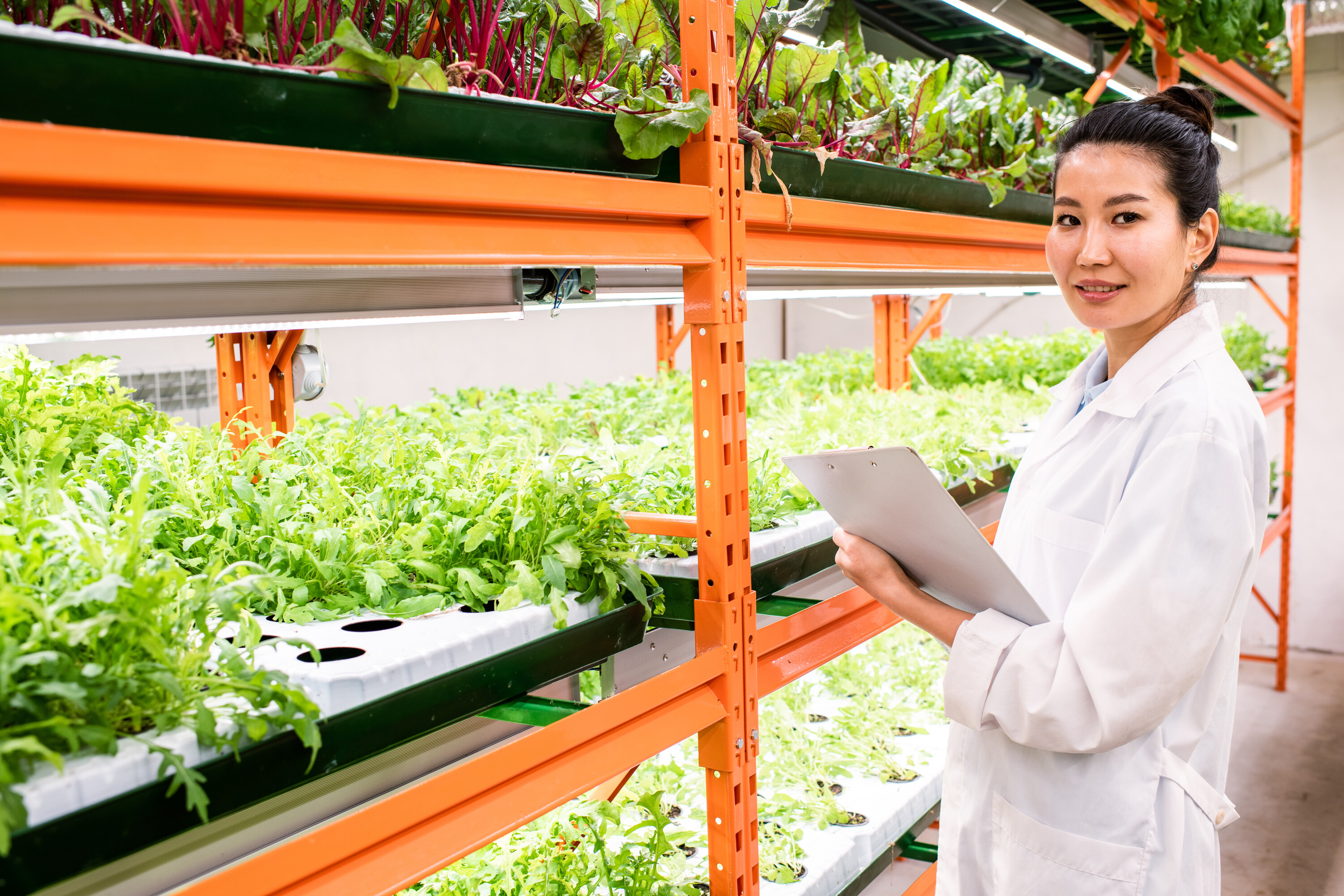 Bespoke Venture Acceleration - Sponsor tailored acceleration support for specific ventures you’ve already identified or invested in, leveraging our expertise and resources to provide customized growth acceleration to your ventures-of-choice.