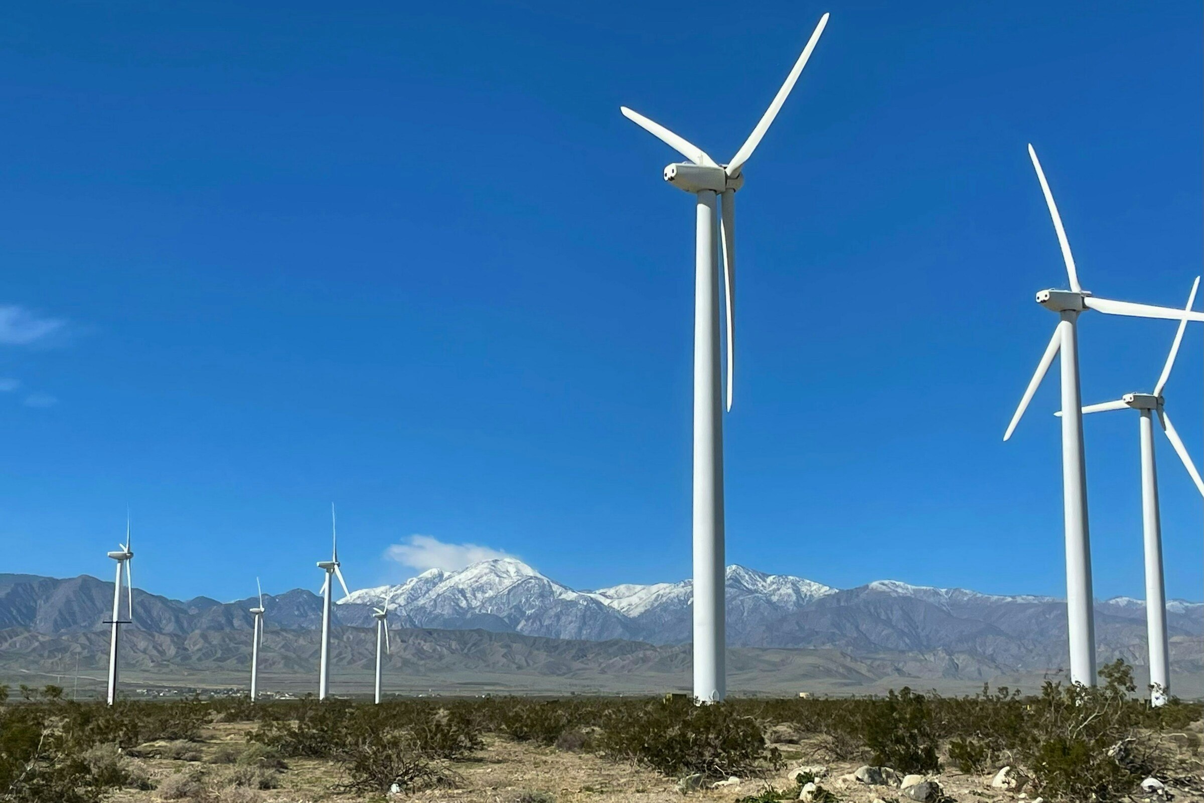 Cleantech Forum North America 2024: A Hotbed of Challenges, Opportunities, and Progress Towards Net Zero