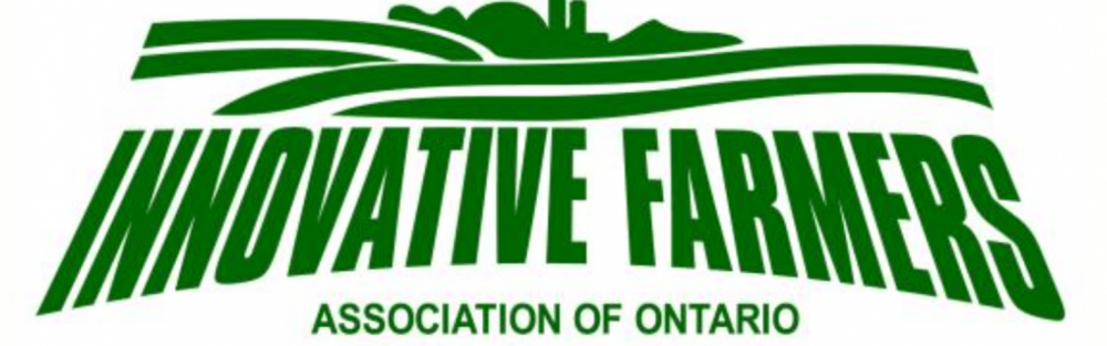 <strong>Tori Waugh</strong>