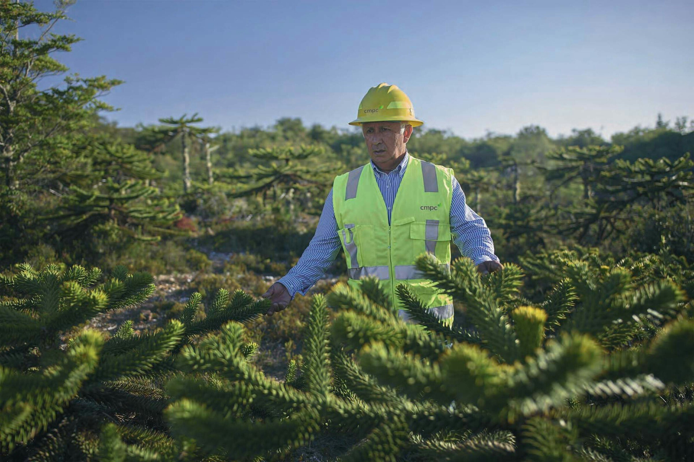 Understanding Our Trees Challenge Webinar