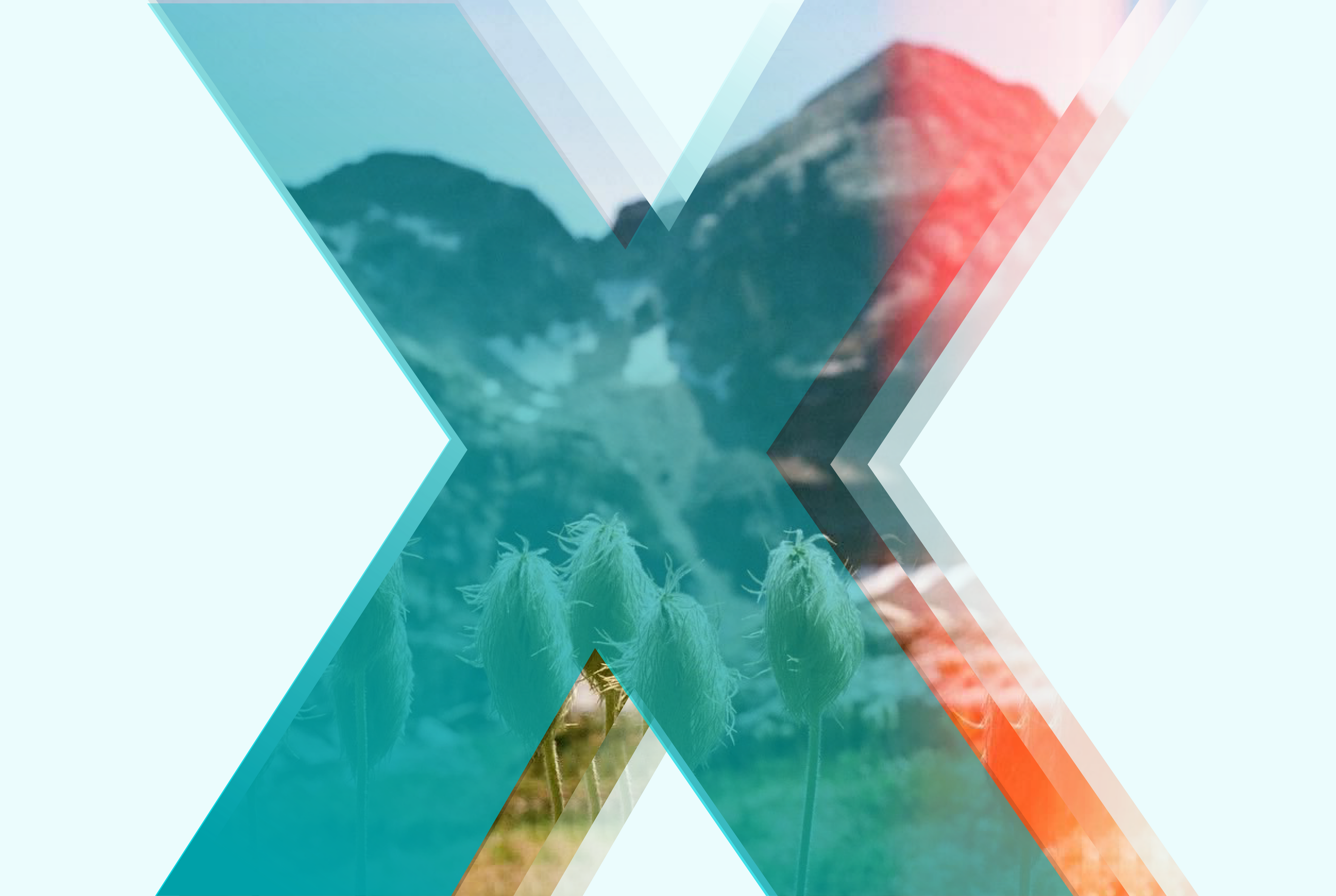 Annual Report 2023-24: Multiplying Impact