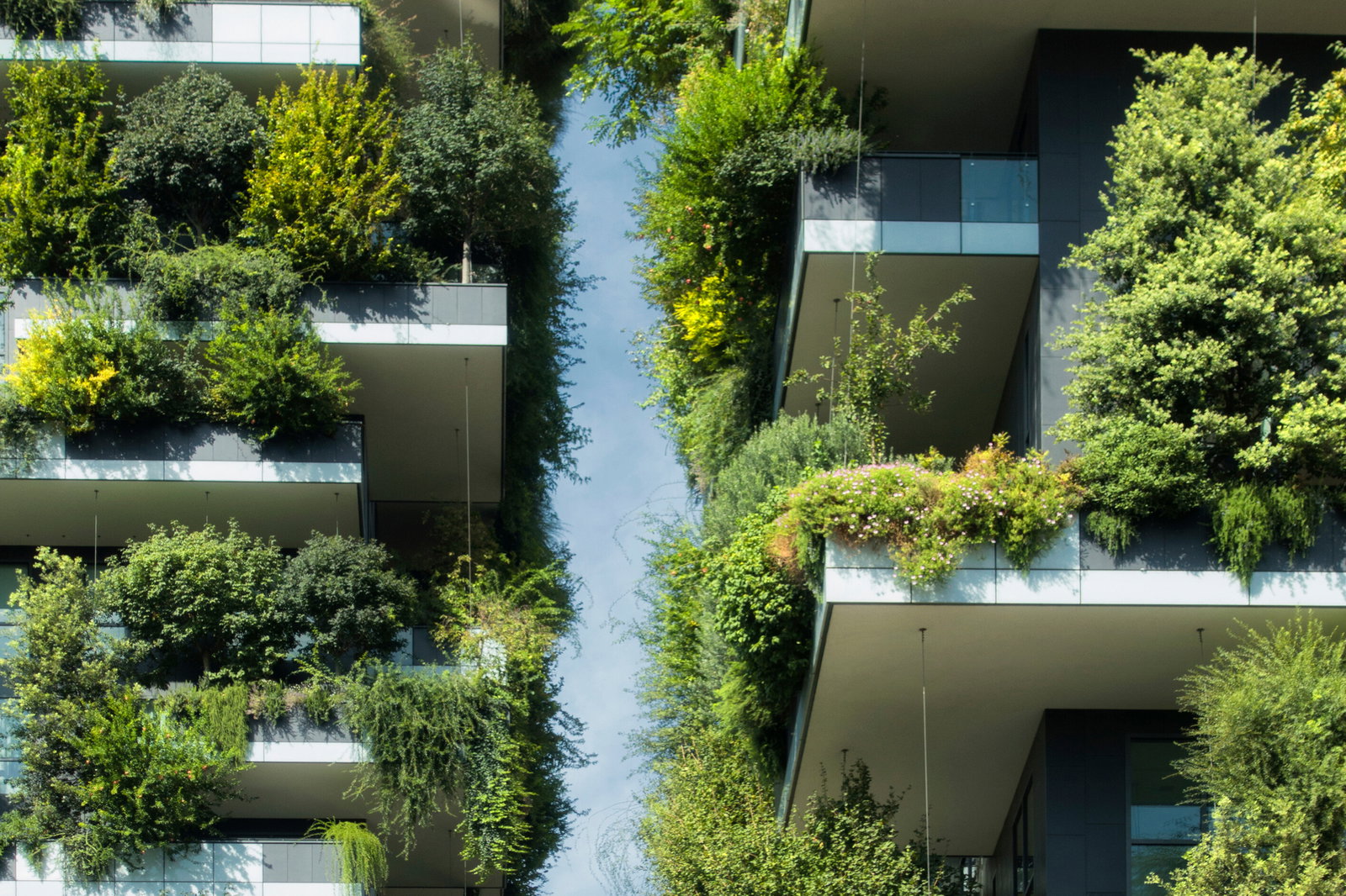 Luxury High Rise Building With Smart Water Efficiency photo
