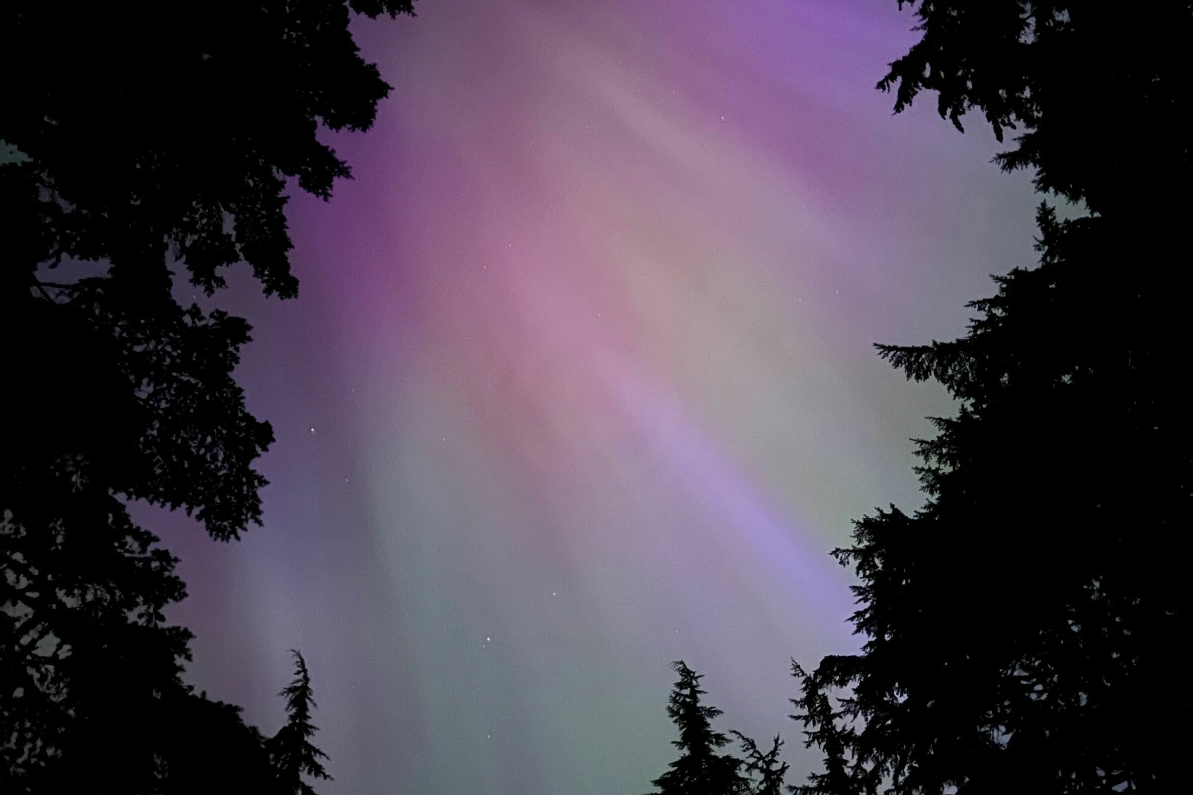 Bioeconomy Opportunities: Lil'wat Forestry Ventures