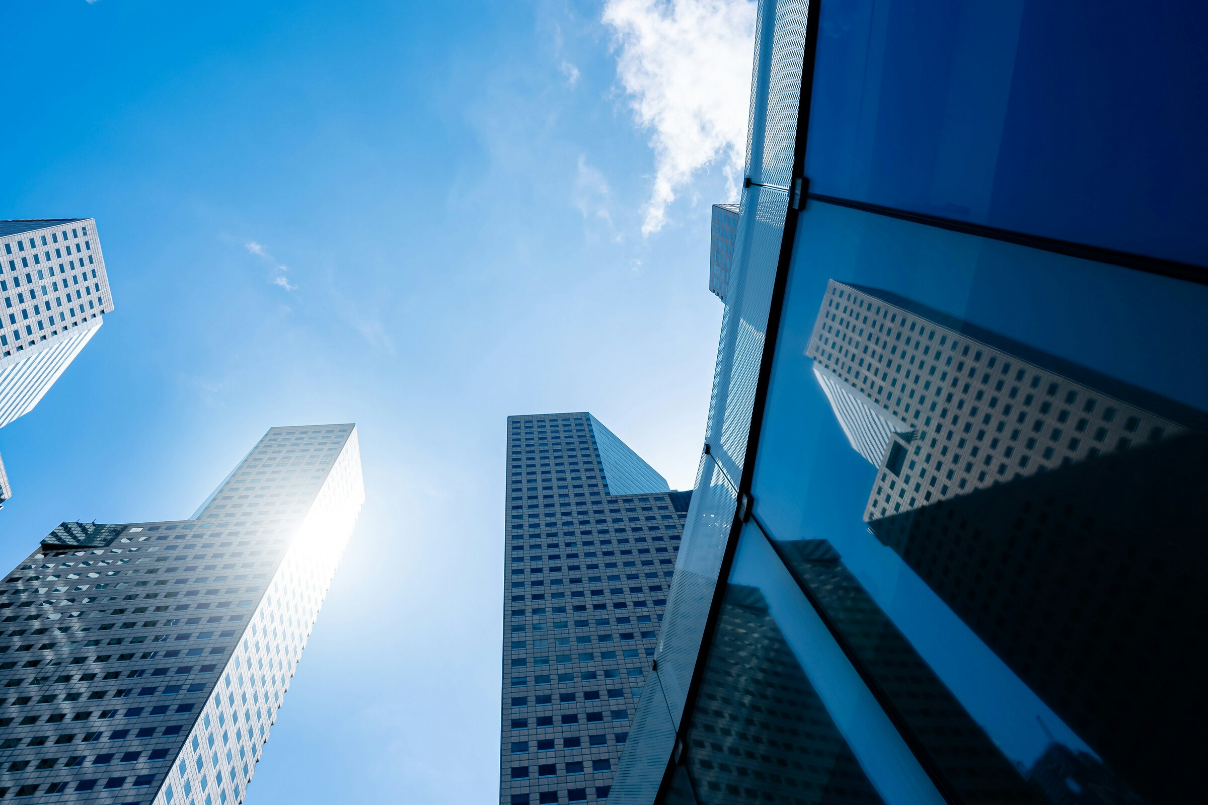 Adopter un avenir net zéro