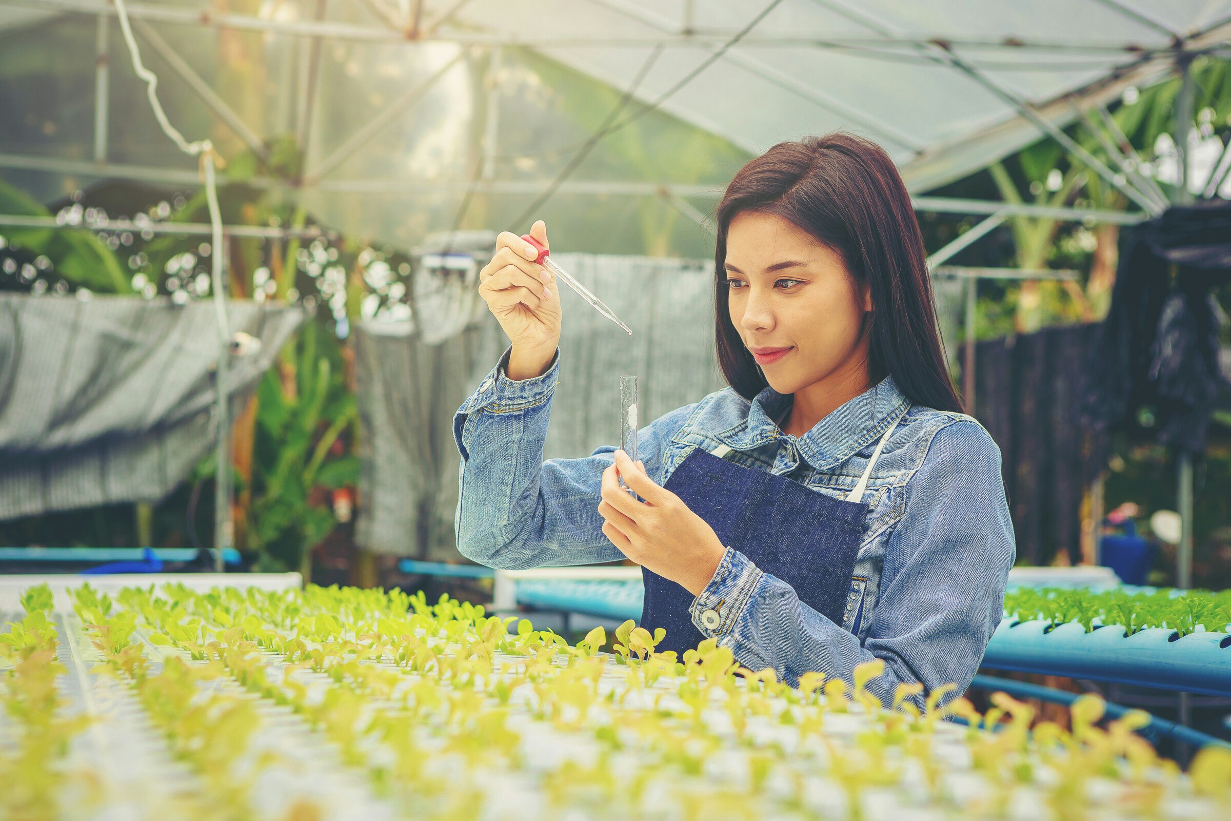 Voici les 50 entreprises canadiennes les plus susceptibles d'investir dans les technologies propres (2024 Foresight 50)