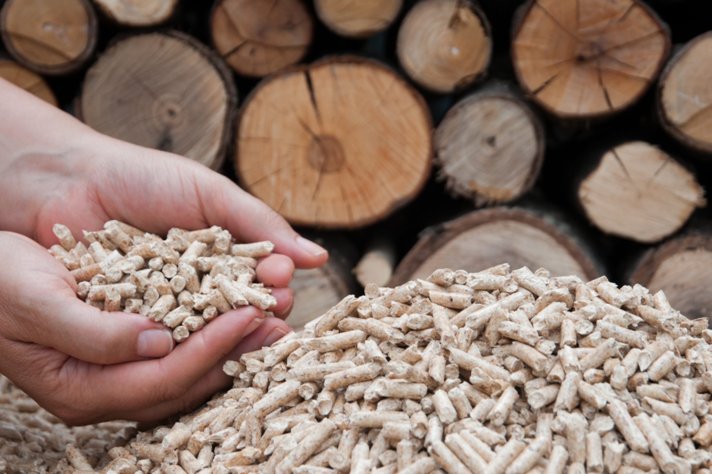 Défi de valorisation de la biomasse du Groupe Savoie