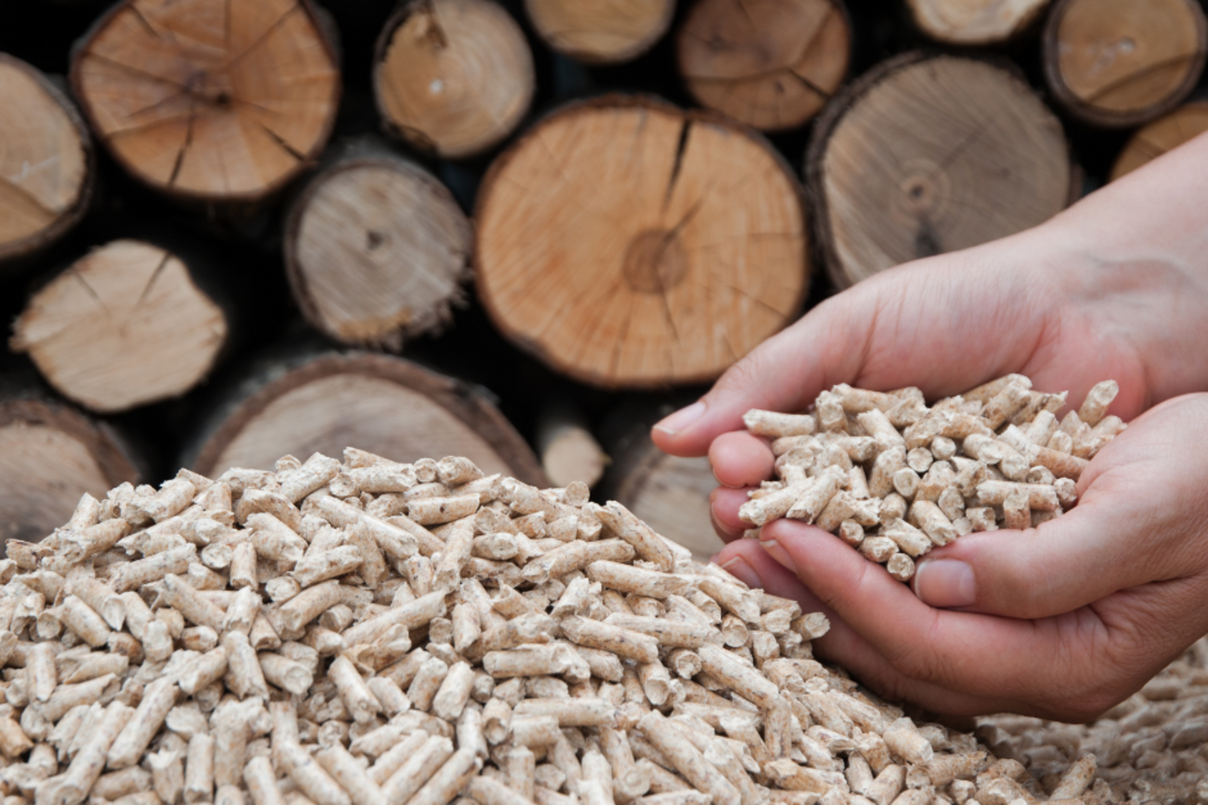 Le nouveau défi de l'innovation vise à transformer la sylviculture canadienne