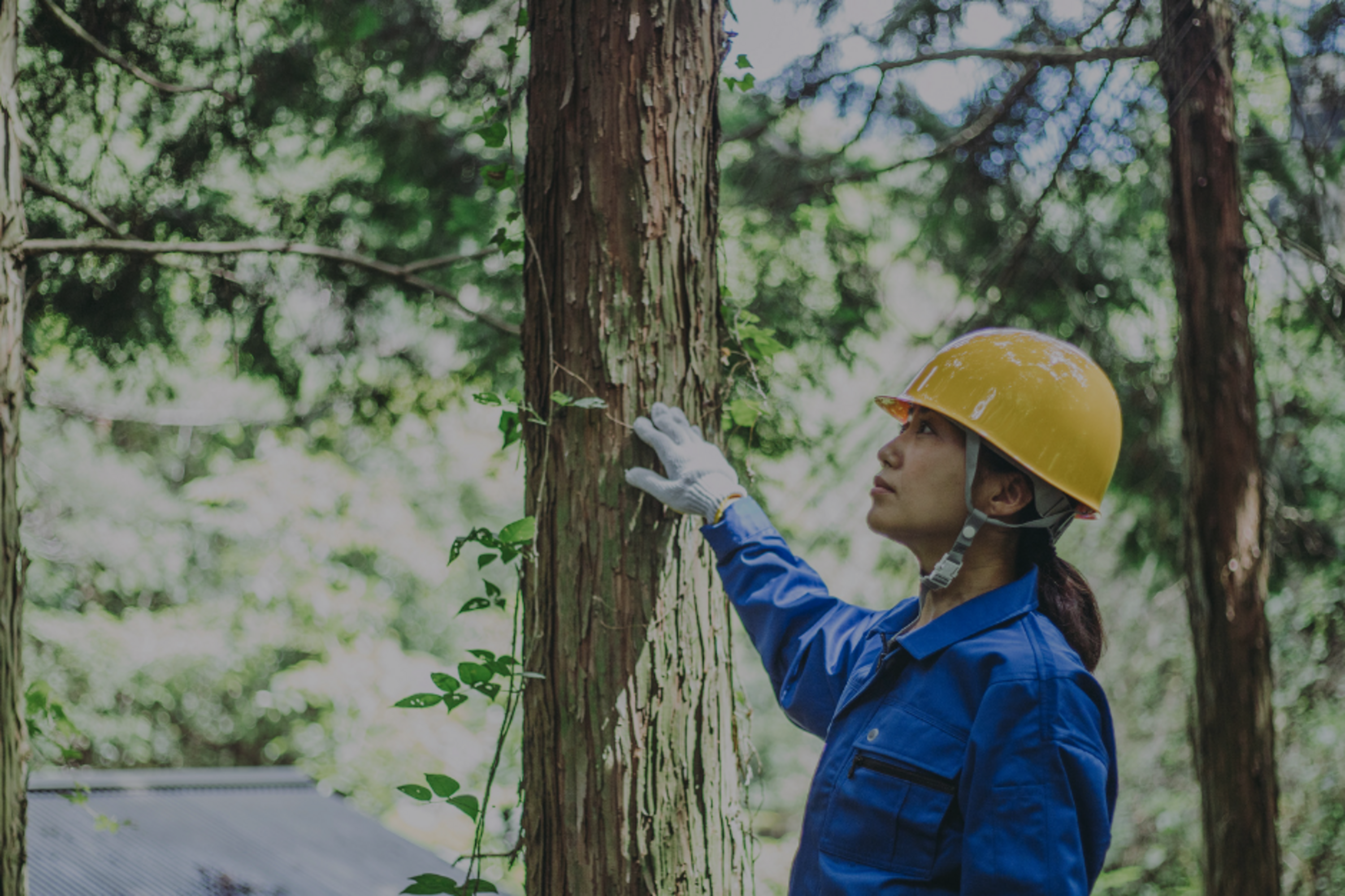 Bioéconomie - Nos tables rondes sur la bioéconomie fournissent aux entreprises des informations approfondies et pratiques sur le secteur de l'économie circulaire.<br/><strong>TRL 3+</strong>