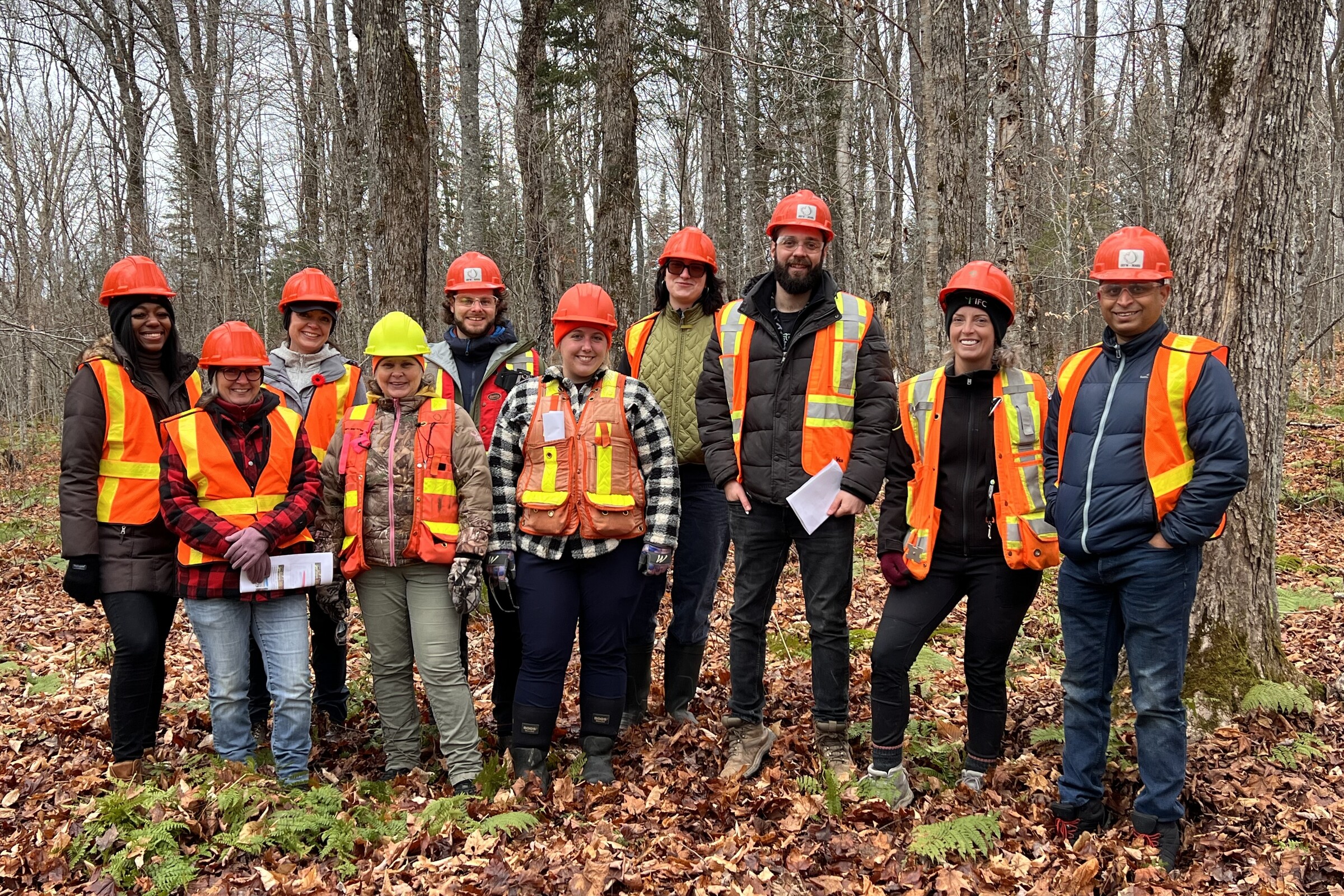 Canadian Research Institute Wins Biomass Recovery Challenge, Partners for Sustainable Forestry Pilot - April 10, 2025