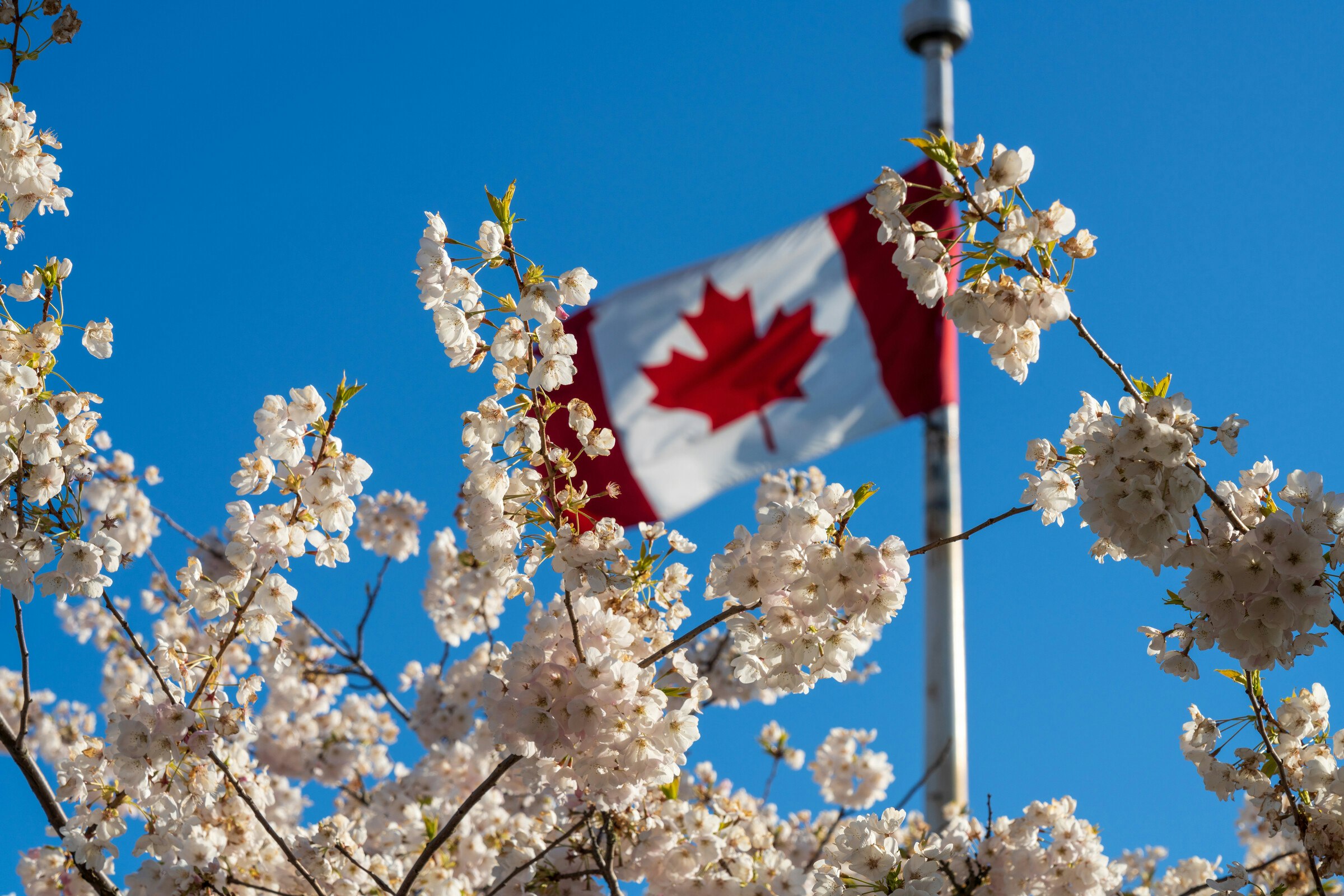 Canada Must Act Now to Seize the Clean Productivity Opportunity