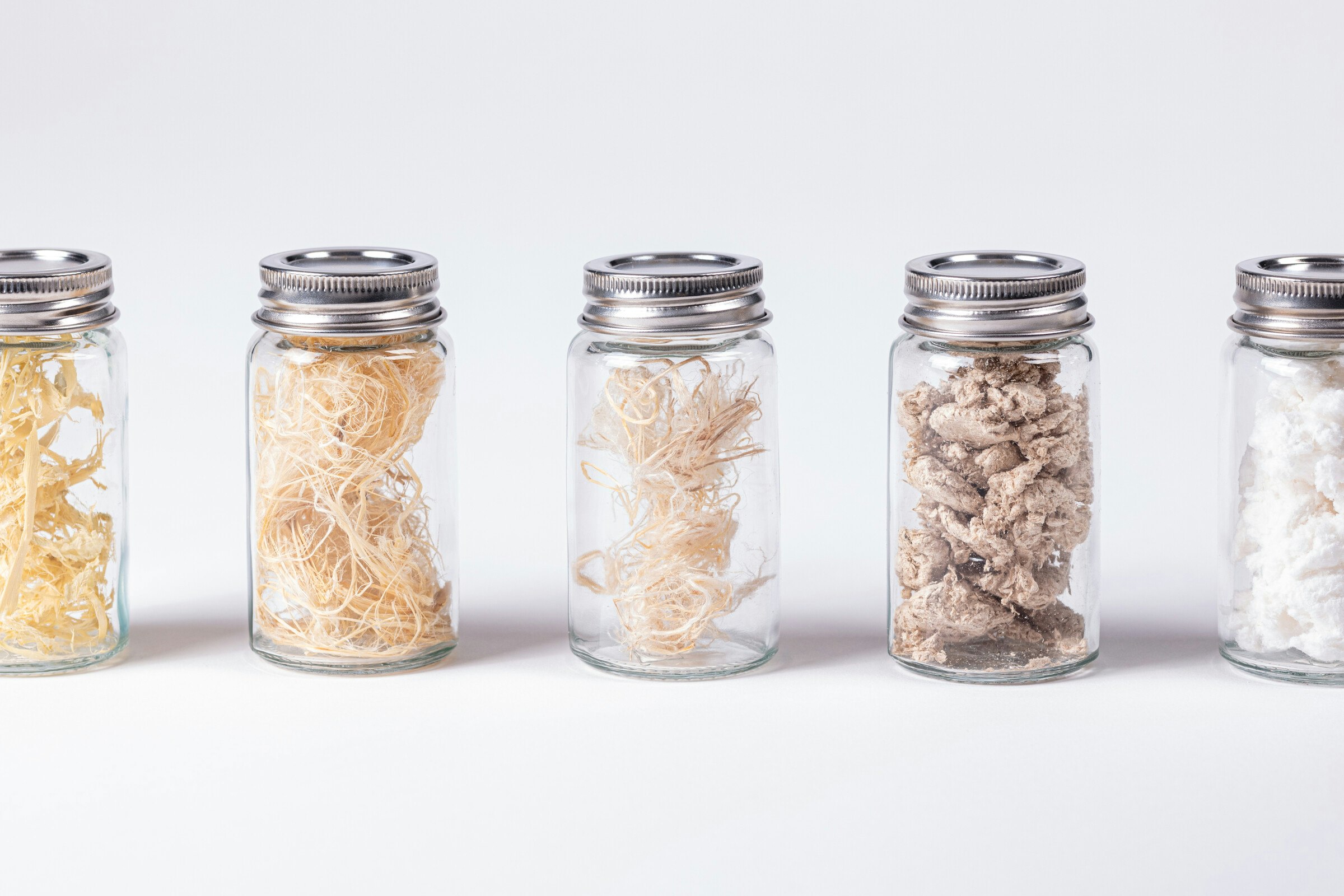 HEJMAS: Cultivating a Carbon-Neutral Future for Fibres